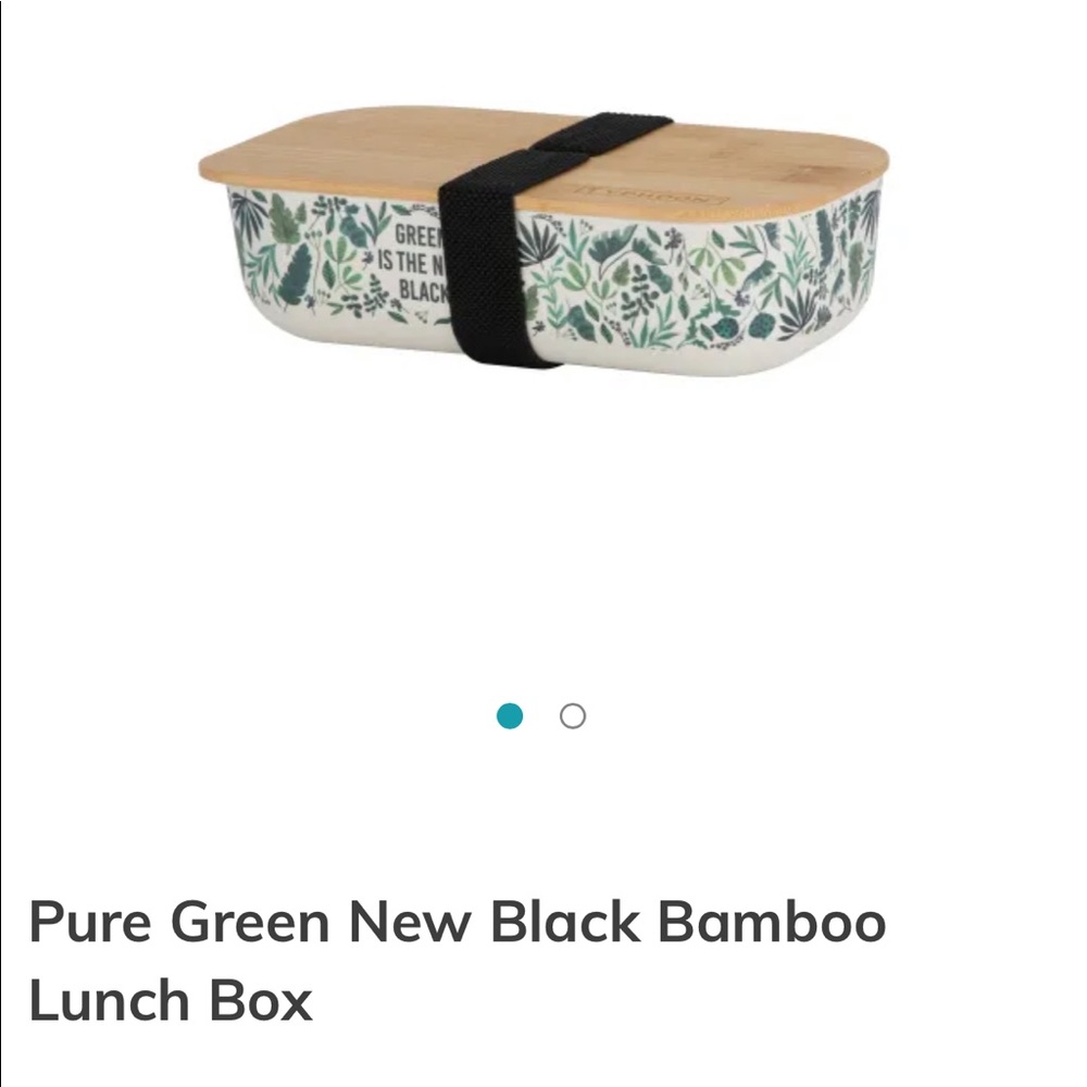 Bamboo lunch box.  “Green is the New Black”